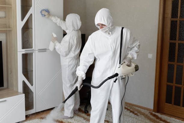 Professional Mold Removal in Mackinaw, IL