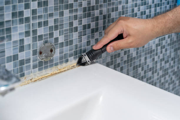 Best Affordable Mold Removal  in Mackinaw, IL