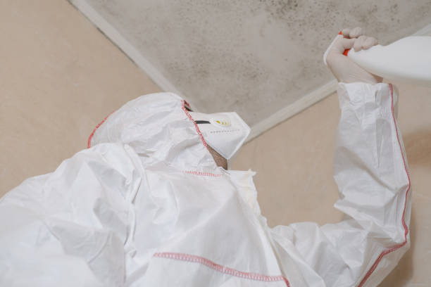 Best Office Mold Removal Services  in Mackinaw, IL